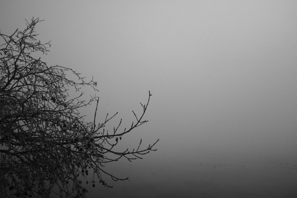 Nebelsee